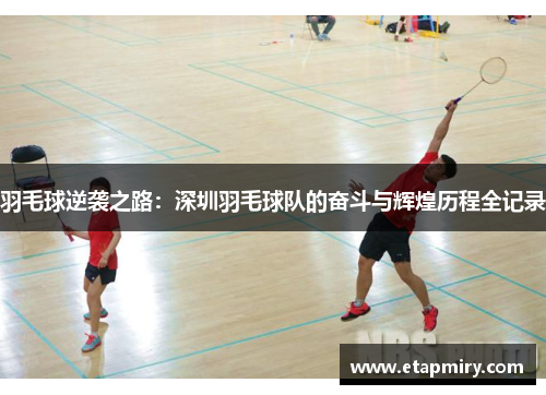 羽毛球逆袭之路：深圳羽毛球队的奋斗与辉煌历程全记录