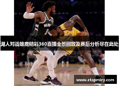 湖人对战雄鹿精彩360直播全景回放及赛后分析尽在此处